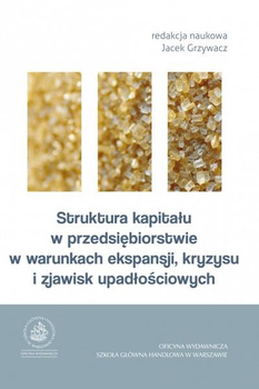 STRUKTURA KAPITAŁU W PRZEDSIĘBIORSTWIE W WARUNKACH EKSPANSJI, KRYZYSU I ZJAWISK UPADŁOŚCIOWYCH (opr. miękka)